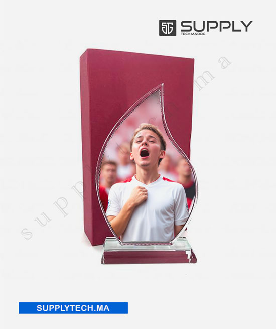bxp31trophe subli 2
