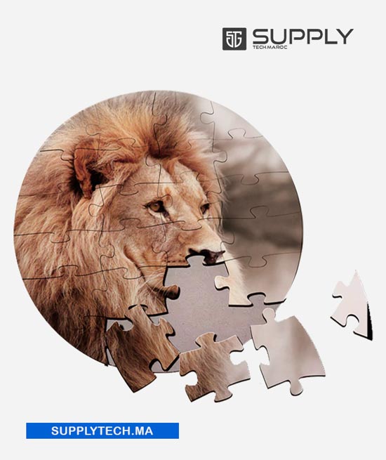 puzzles rond