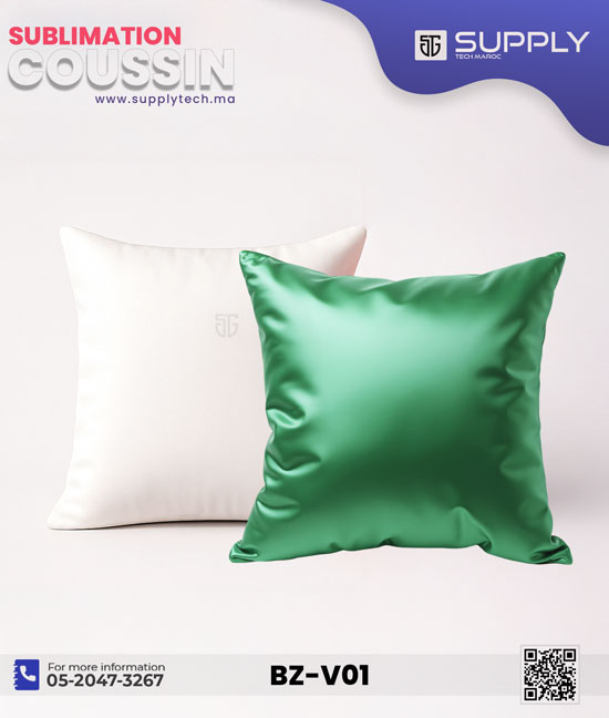 coussin vert blanc 2